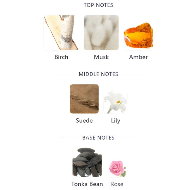 Musk Set (price for each one) 20ml سعر كل واحده
